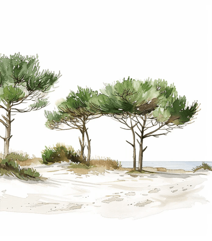 Les Pins de la Plage : Évasion Naturelle - Illulart: Papier peint panoramique