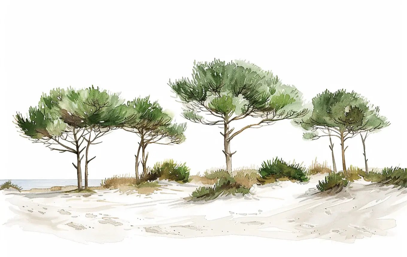 Les Pins de la Plage : Évasion Naturelle
