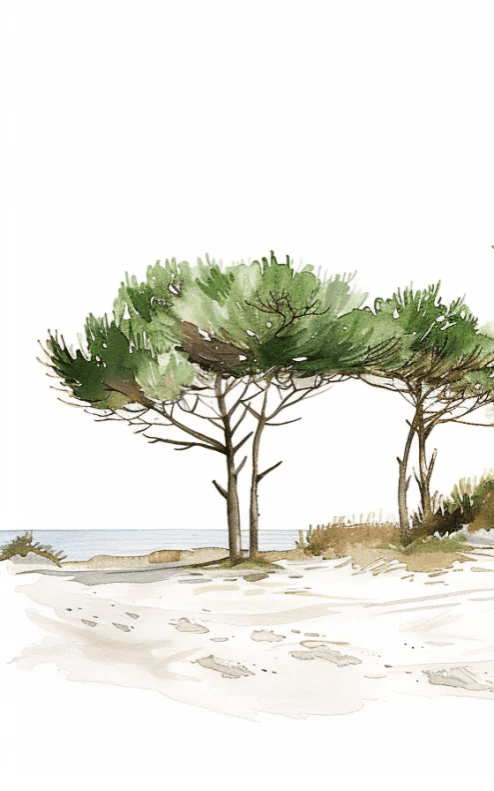 Les Pins de la Plage : Évasion Naturelle - Illulart: Papier peint panoramique