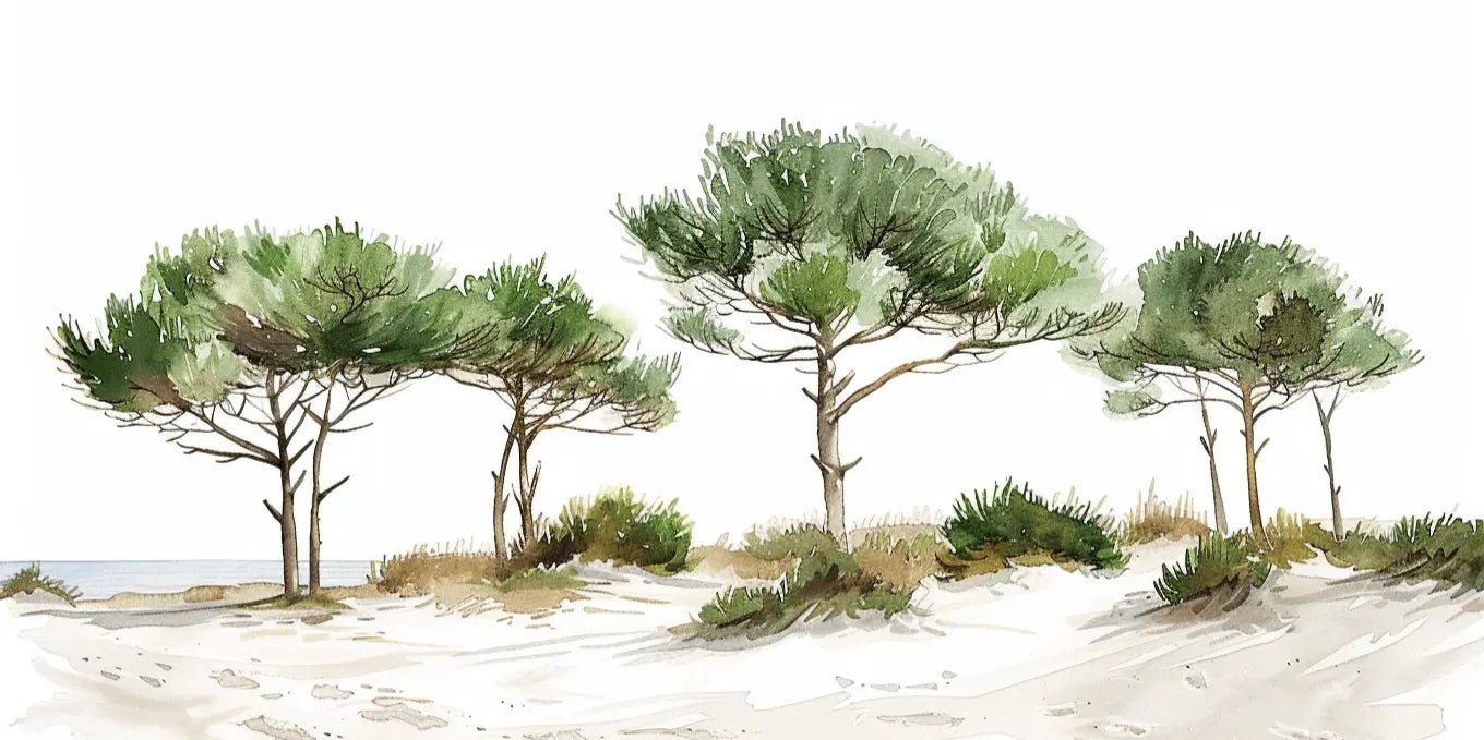 Les Pins de la Plage : Évasion Naturelle - Illulart: Papier peint panoramique