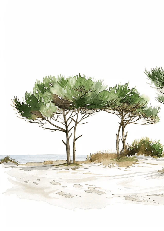 Les Pins de la Plage : Évasion Naturelle