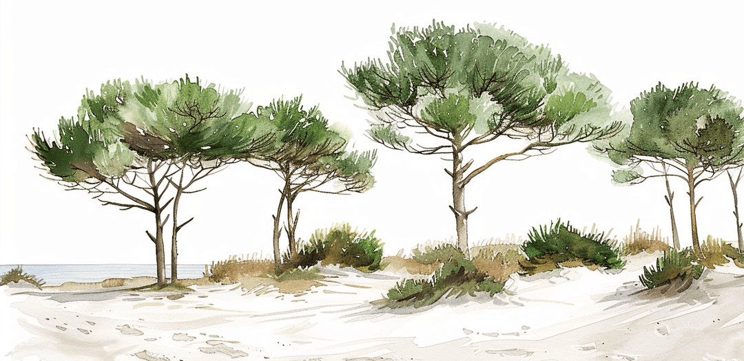 Les Pins de la Plage : Évasion Naturelle - Illulart: Papier peint panoramique