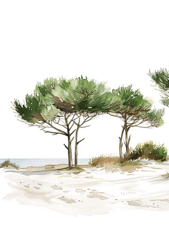 Les Pins de la Plage : Évasion Naturelle - Illulart: Papier peint panoramique