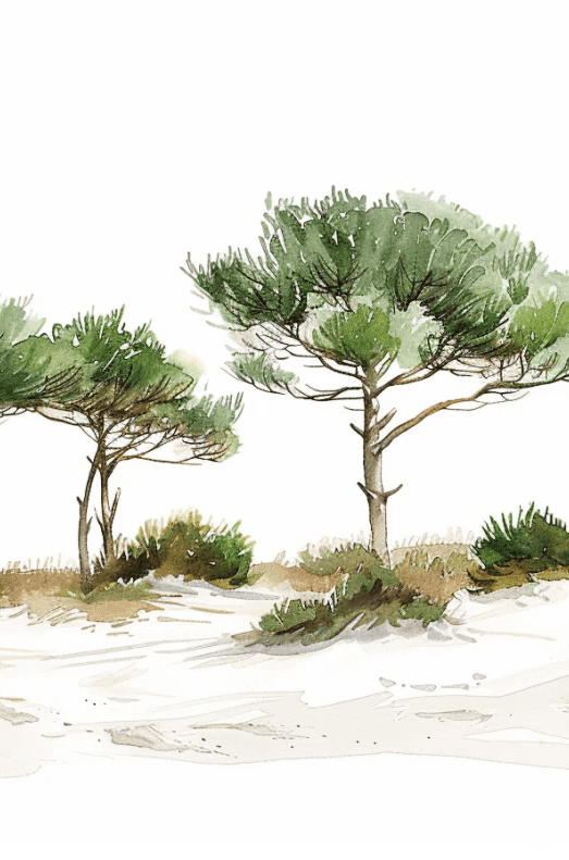 Les Pins de la Plage : Évasion Naturelle - Illulart: Papier peint panoramique