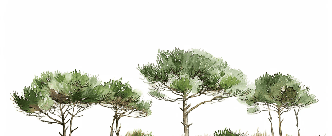 Les Pins de la Plage : Évasion Naturelle - Illulart: Papier peint panoramique