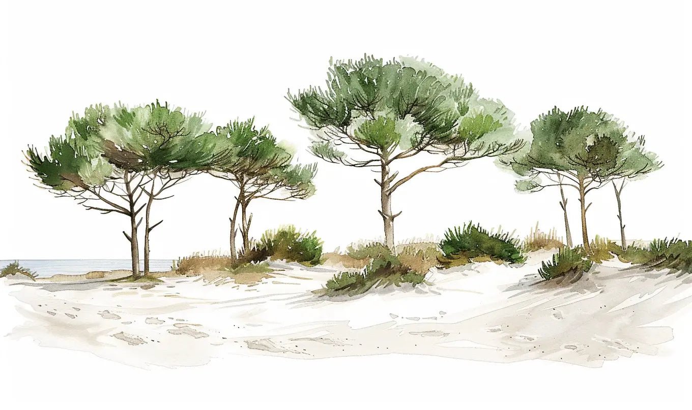 Les Pins de la Plage : Évasion Naturelle - Illulart: Papier peint panoramique