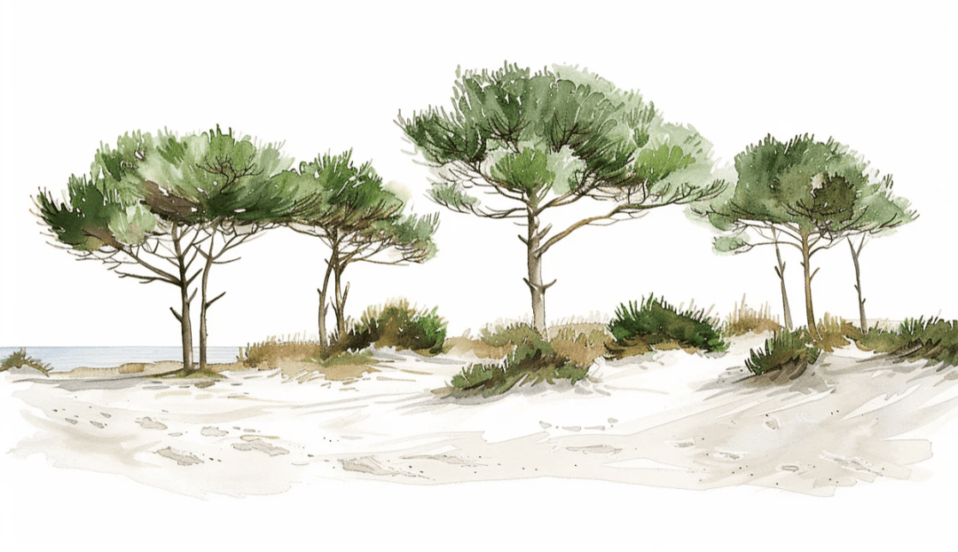 Les Pins de la Plage : Évasion Naturelle - Illulart: Papier peint panoramique
