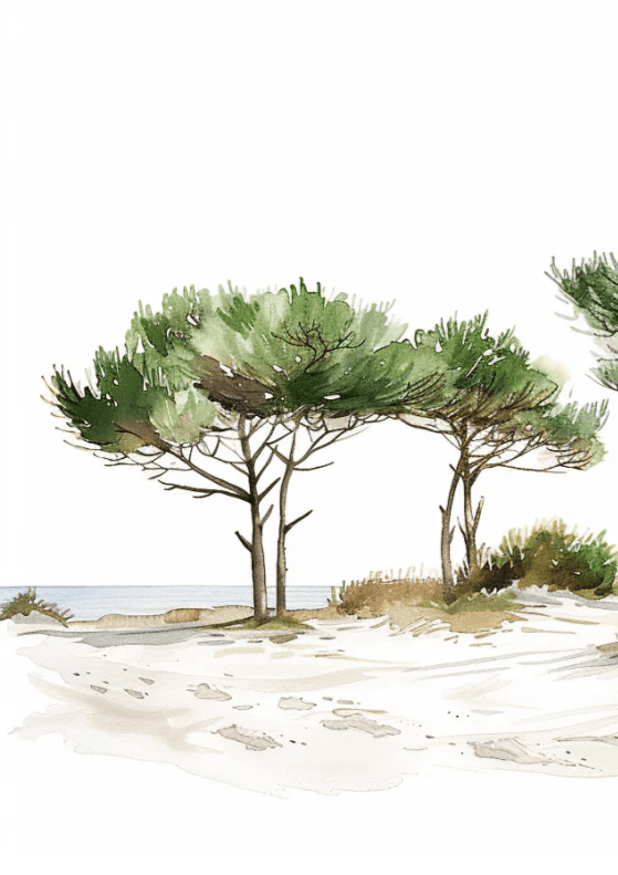 Les Pins de la Plage : Évasion Naturelle - Illulart: Papier peint panoramique