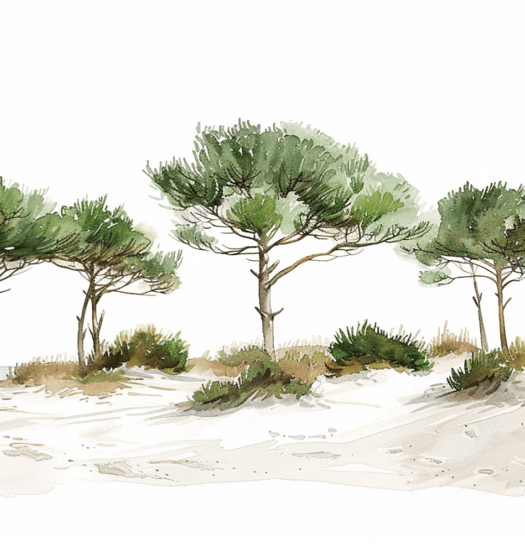 Les Pins de la Plage : Évasion Naturelle - Illulart: Papier peint panoramique