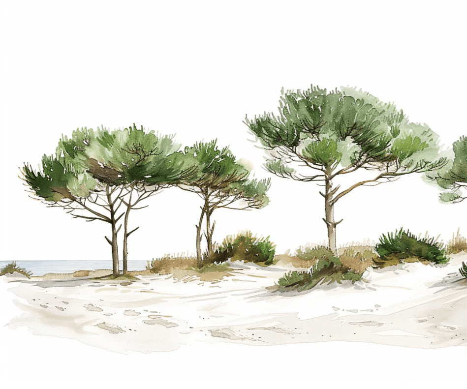 Les Pins de la Plage : Évasion Naturelle - Illulart: Papier peint panoramique