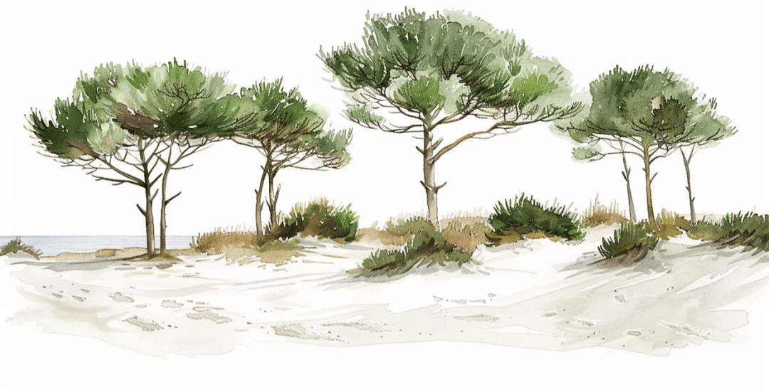 Les Pins de la Plage : Évasion Naturelle - Illulart: Papier peint panoramique