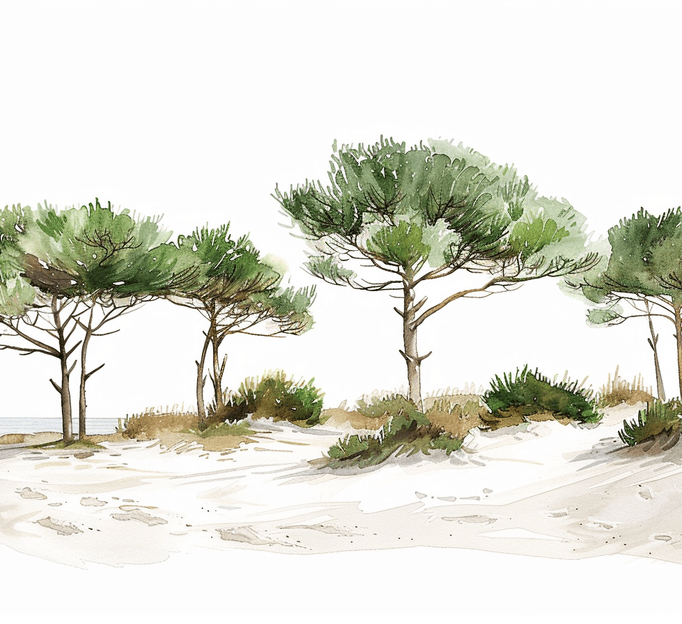 Les Pins de la Plage : Évasion Naturelle - Illulart: Papier peint panoramique