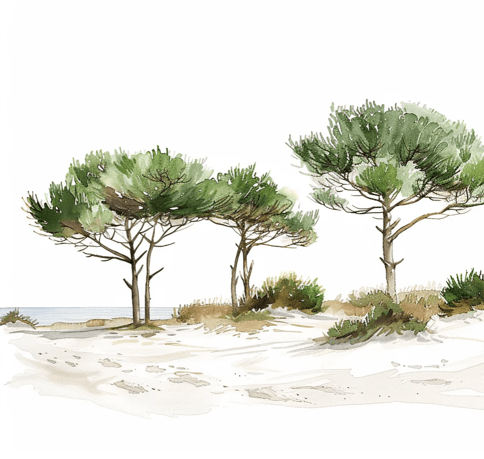 Les Pins de la Plage : Évasion Naturelle - Illulart: Papier peint panoramique