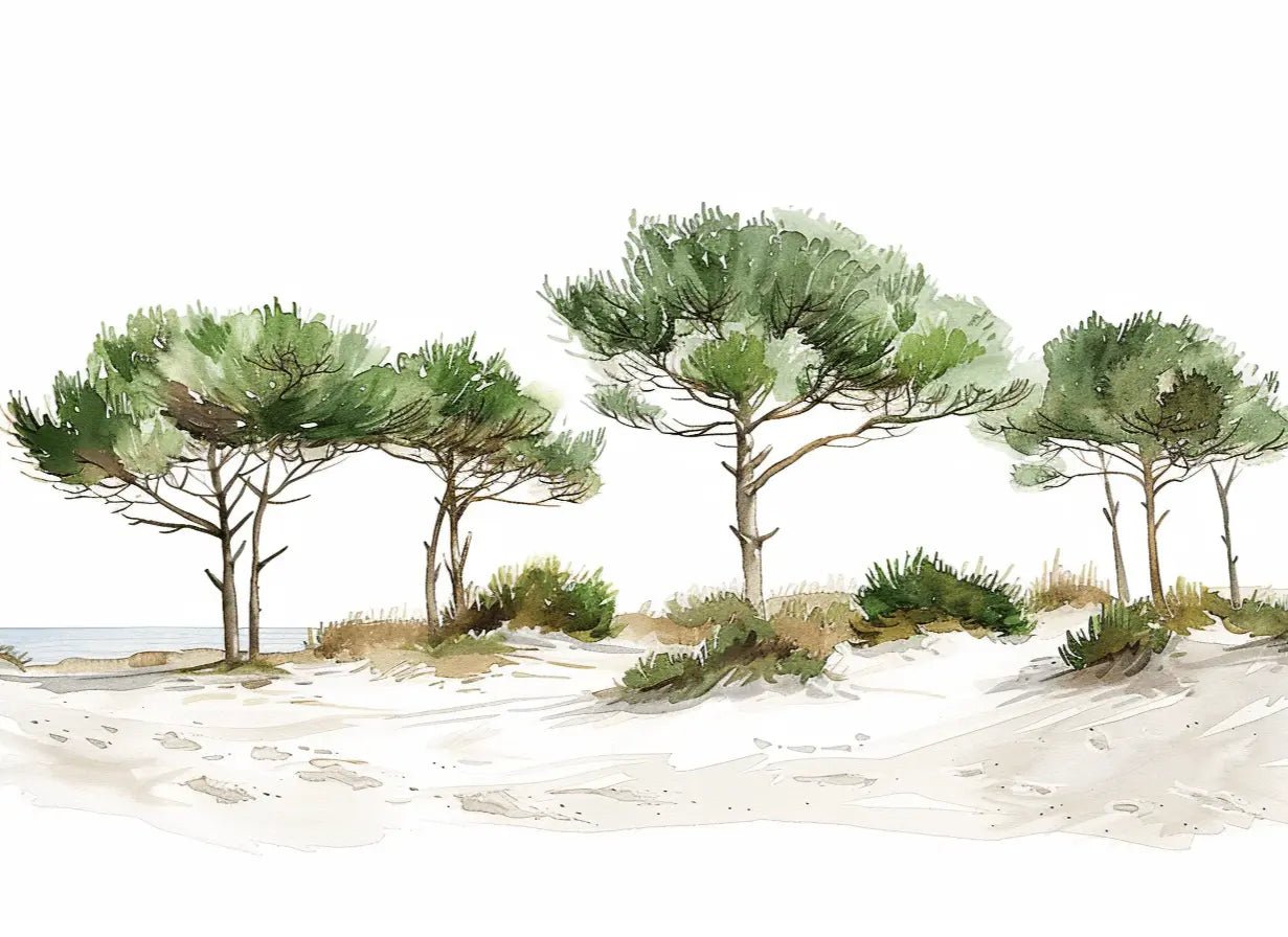 Les Pins de la Plage : Évasion Naturelle - Illulart: Papier peint panoramique