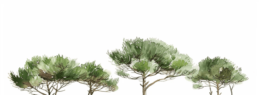 Les Pins de la Plage : Évasion Naturelle - Illulart: Papier peint panoramique