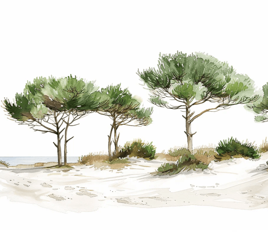 Les Pins de la Plage : Évasion Naturelle - Illulart: Papier peint panoramique