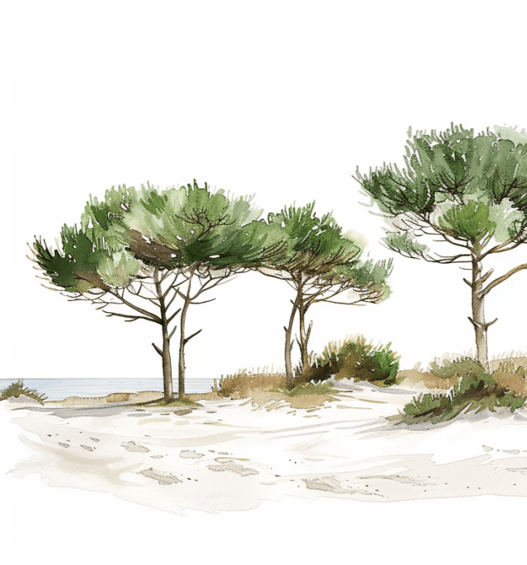 Les Pins de la Plage : Évasion Naturelle - Illulart: Papier peint panoramique