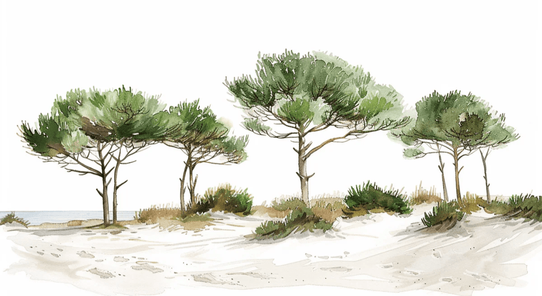 Les Pins de la Plage : Évasion Naturelle - Illulart: Papier peint panoramique