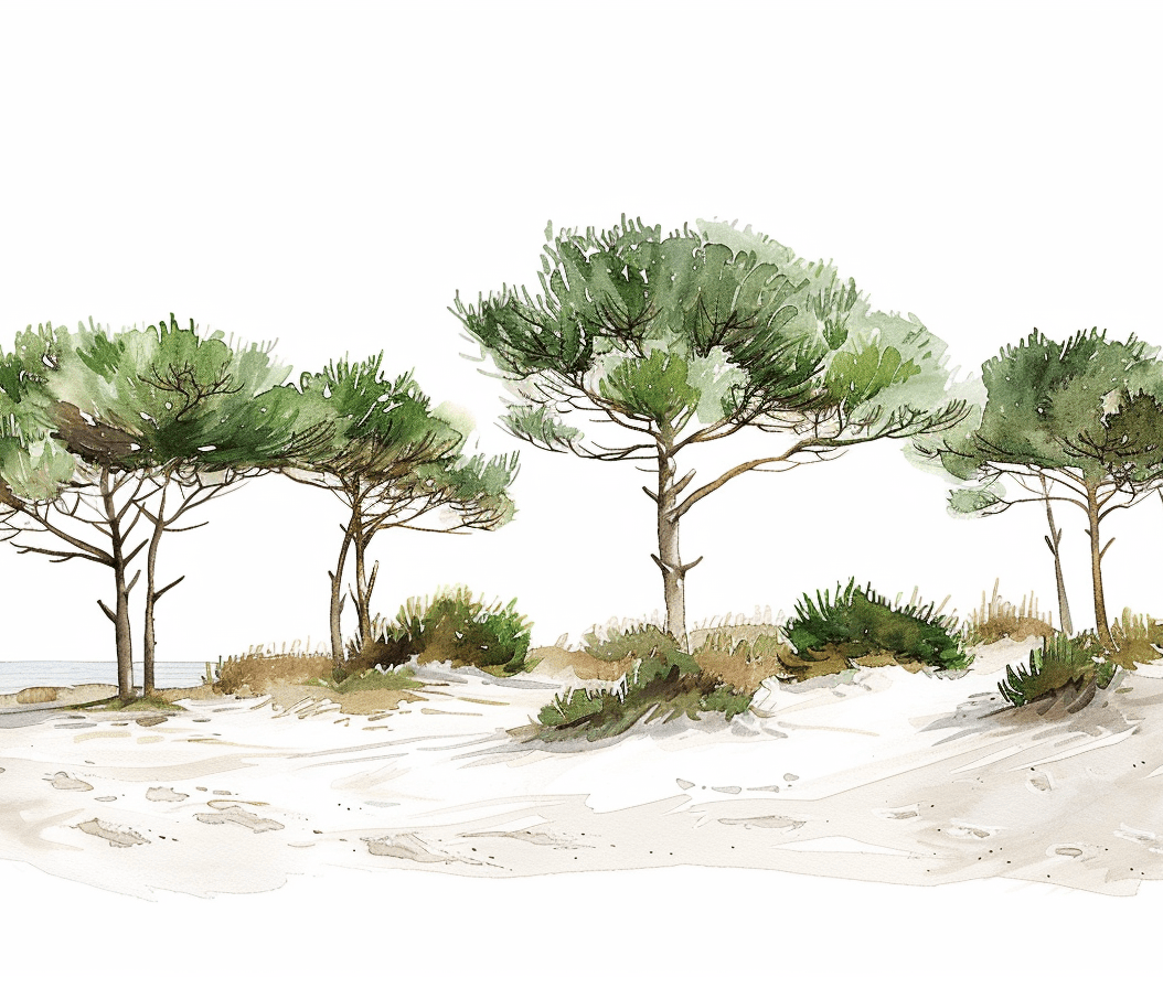 Les Pins de la Plage : Évasion Naturelle