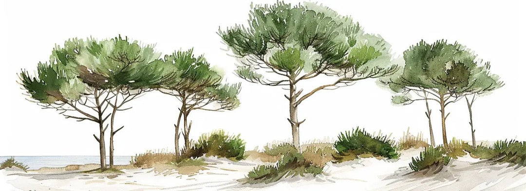Les Pins de la Plage : Évasion Naturelle - Illulart: Papier peint panoramique