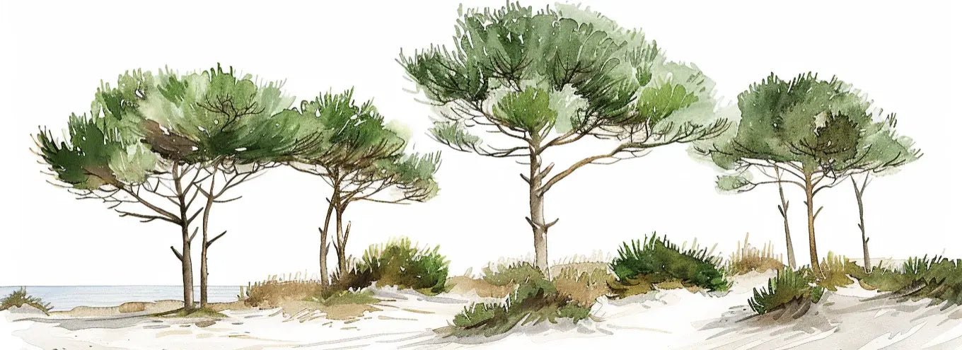 Les Pins de la Plage : Évasion Naturelle - Illulart: Papier peint panoramique