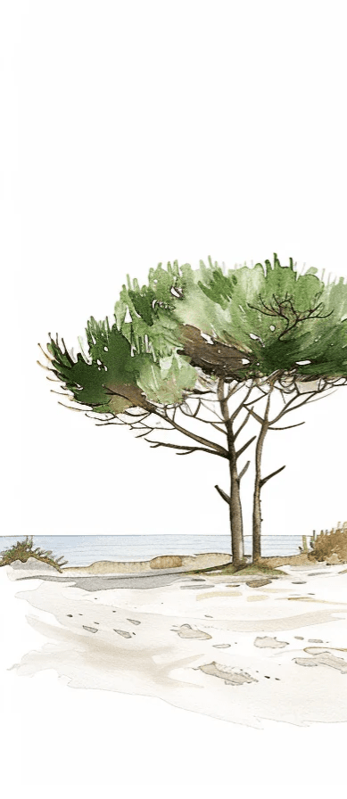 Les Pins de la Plage : Évasion Naturelle - Illulart: Papier peint panoramique
