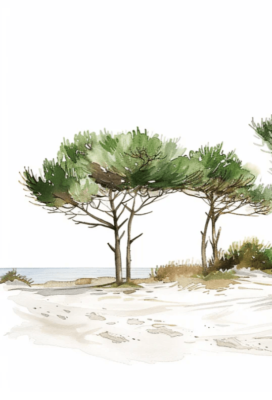 Les Pins de la Plage : Évasion Naturelle - Illulart: Papier peint panoramique