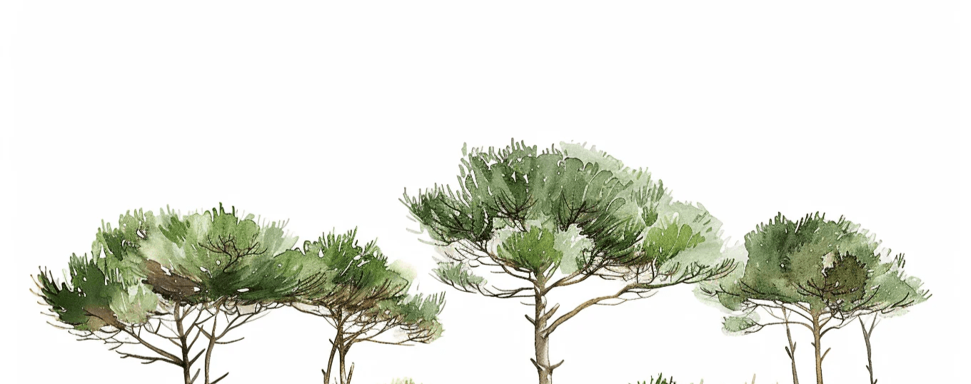 Les Pins de la Plage : Évasion Naturelle