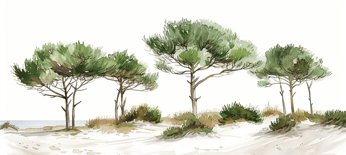 Les Pins de la Plage : Évasion Naturelle - Illulart: Papier peint panoramique