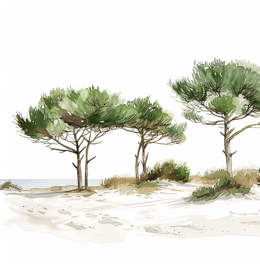 Les Pins de la Plage : Évasion Naturelle - Illulart: Papier peint panoramique