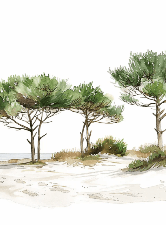Les Pins de la Plage : Évasion Naturelle - Illulart: Papier peint panoramique