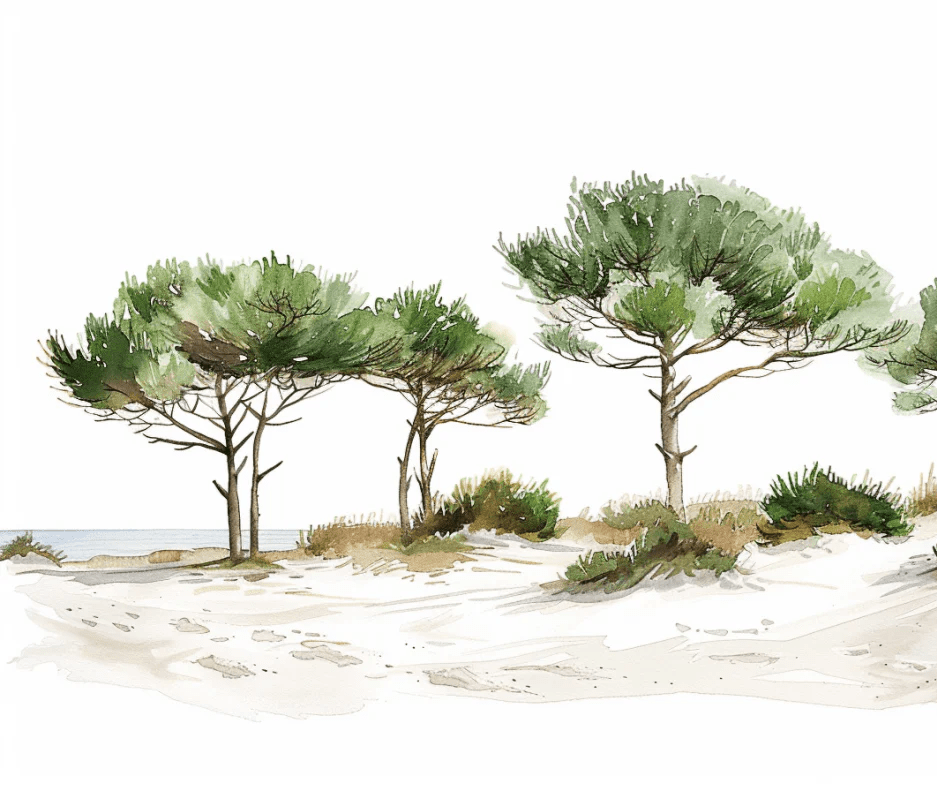 Les Pins de la Plage : Évasion Naturelle - Illulart: Papier peint panoramique