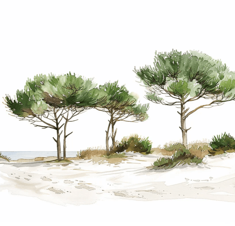 Les Pins de la Plage : Évasion Naturelle - Illulart: Papier peint panoramique