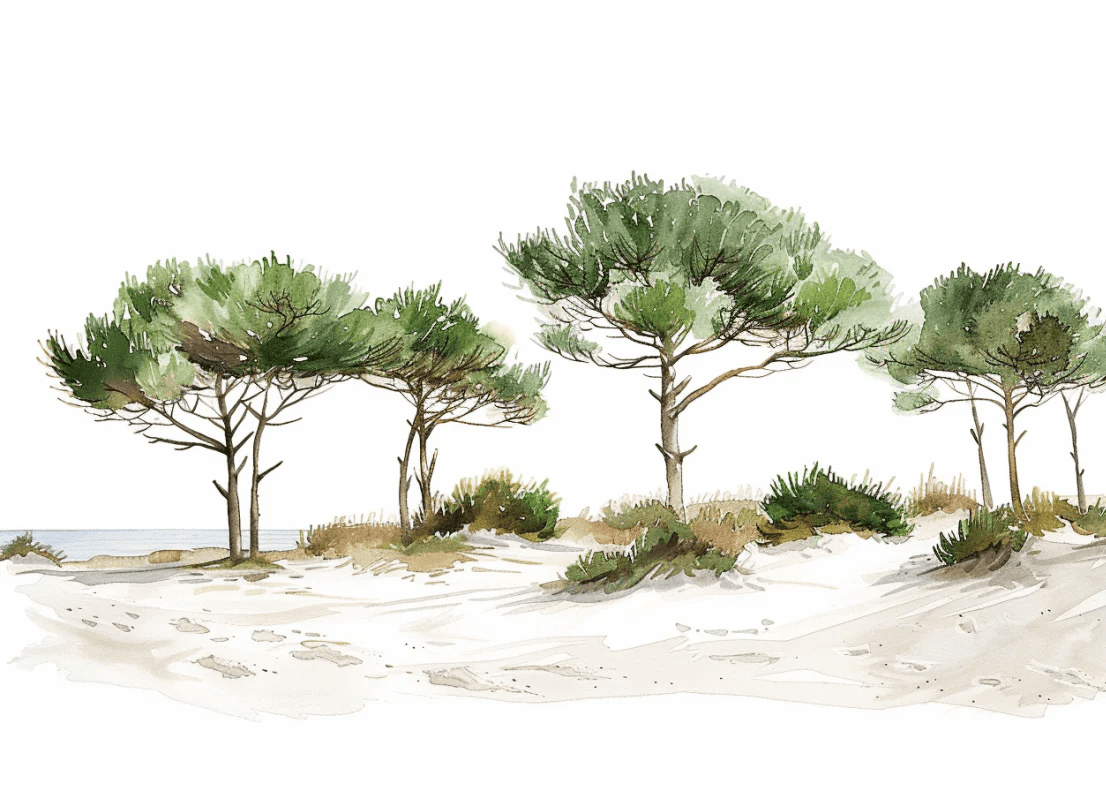 Les Pins de la Plage : Évasion Naturelle - Illulart: Papier peint panoramique