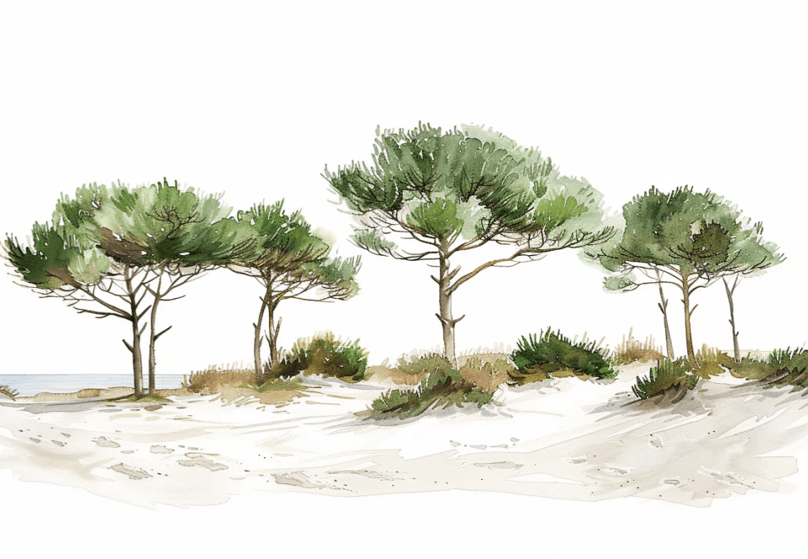 Les Pins de la Plage : Évasion Naturelle - Illulart: Papier peint panoramique