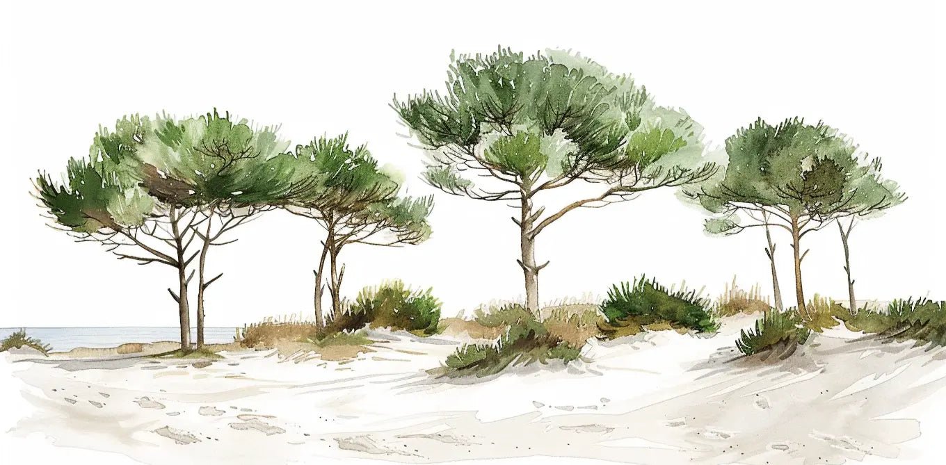 Les Pins de la Plage : Évasion Naturelle - Illulart: Papier peint panoramique