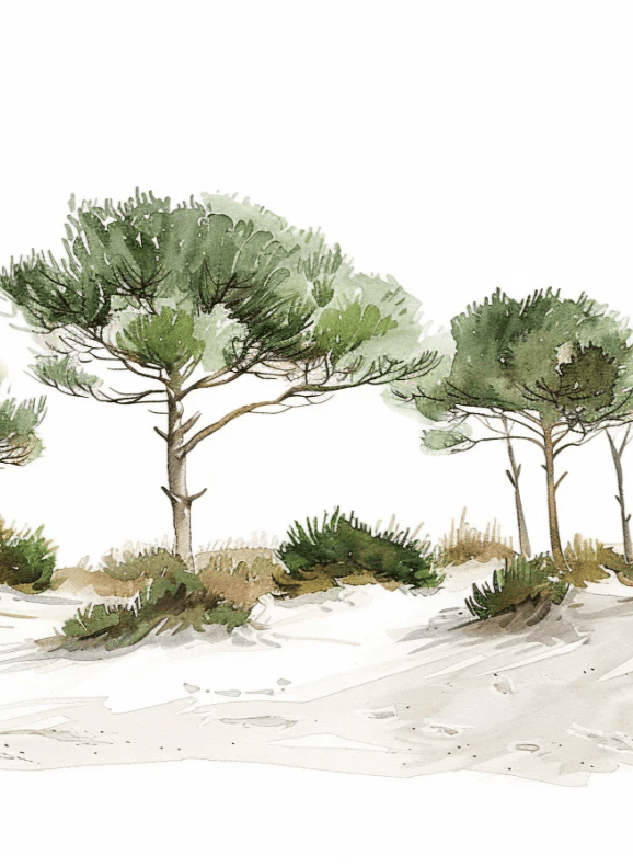 Les Pins de la Plage : Évasion Naturelle - Illulart: Papier peint panoramique
