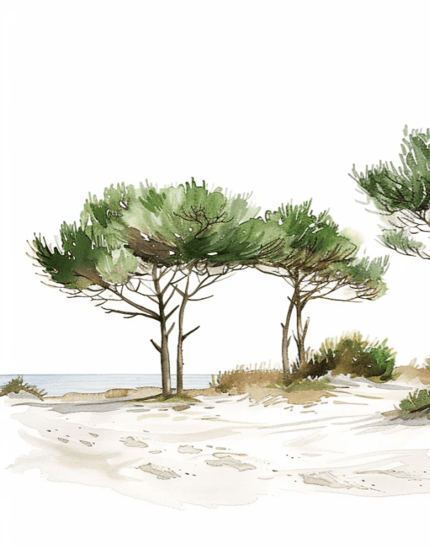 Les Pins de la Plage : Évasion Naturelle - Illulart: Papier peint panoramique