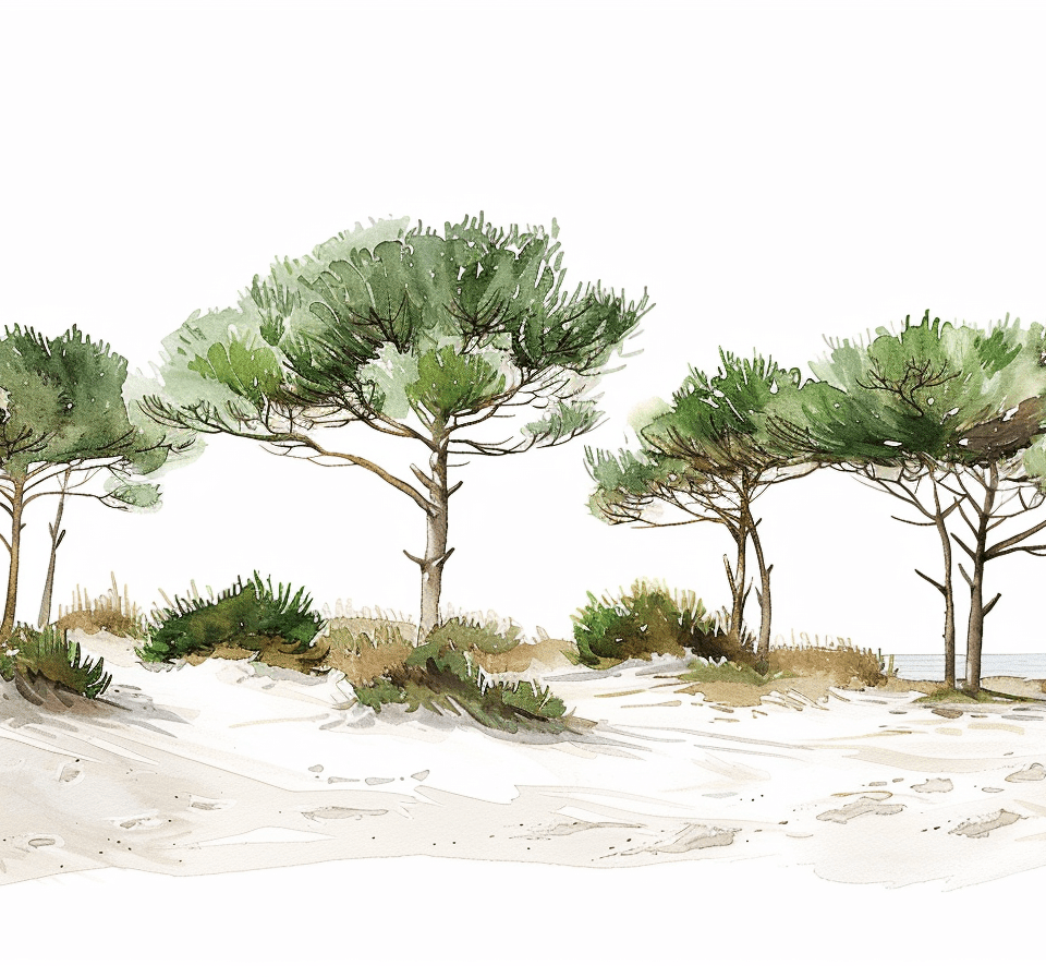Les Pins de la Plage : Évasion Naturelle - Illulart: Papier peint panoramique