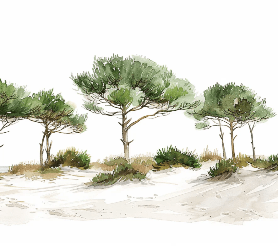 Les Pins de la Plage : Évasion Naturelle - Illulart: Papier peint panoramique