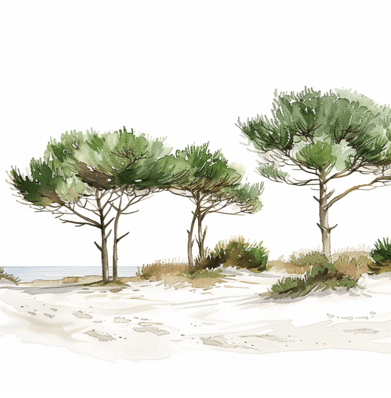 Les Pins de la Plage : Évasion Naturelle - Illulart: Papier peint panoramique