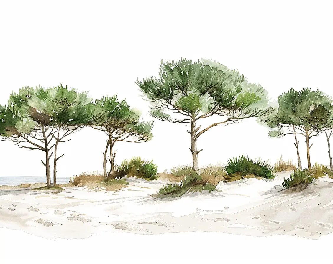 Les Pins de la Plage : Évasion Naturelle - Illulart: Papier peint panoramique