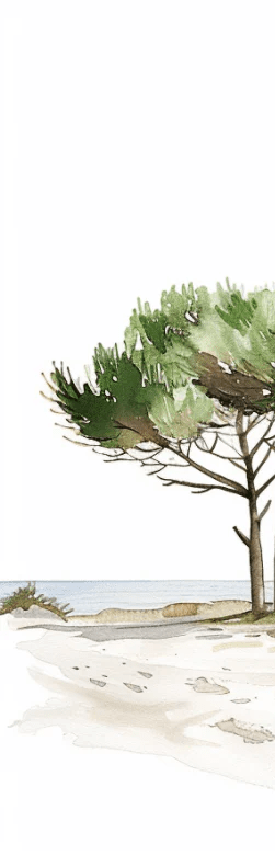 Les Pins de la Plage : Évasion Naturelle - Illulart: Papier peint panoramique