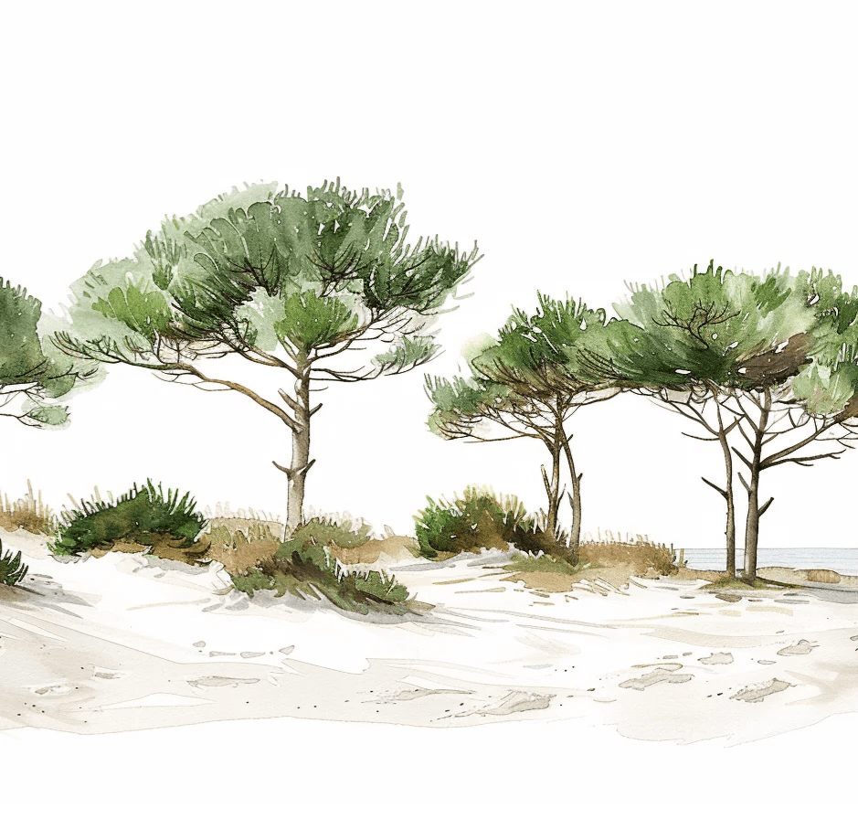 Les Pins de la Plage : Évasion Naturelle - Illulart: Papier peint panoramique
