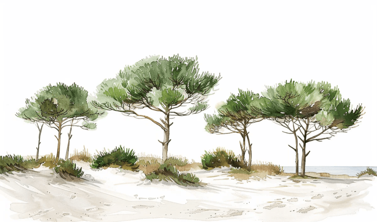 Les Pins de la Plage : Évasion Naturelle - Illulart: Papier peint panoramique
