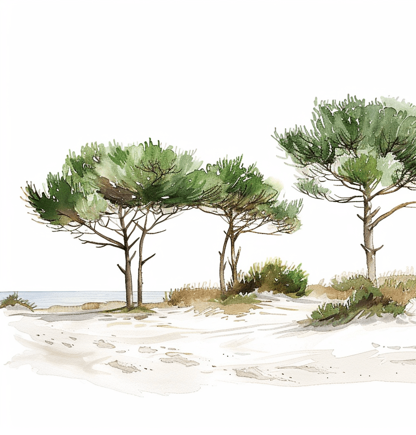 Les Pins de la Plage : Évasion Naturelle