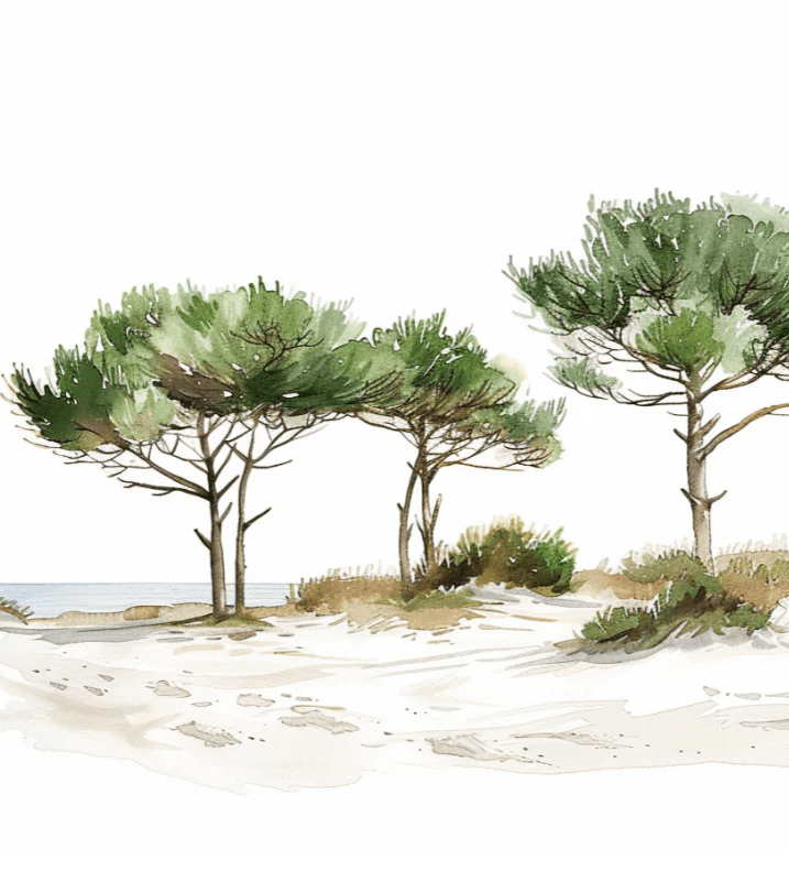 Les Pins de la Plage : Évasion Naturelle - Illulart: Papier peint panoramique