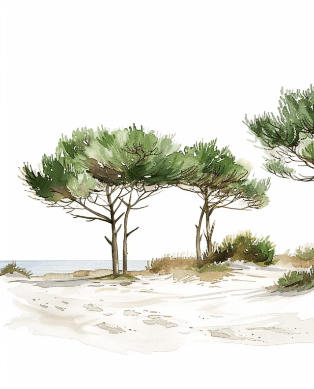 Les Pins de la Plage : Évasion Naturelle - Illulart: Papier peint panoramique