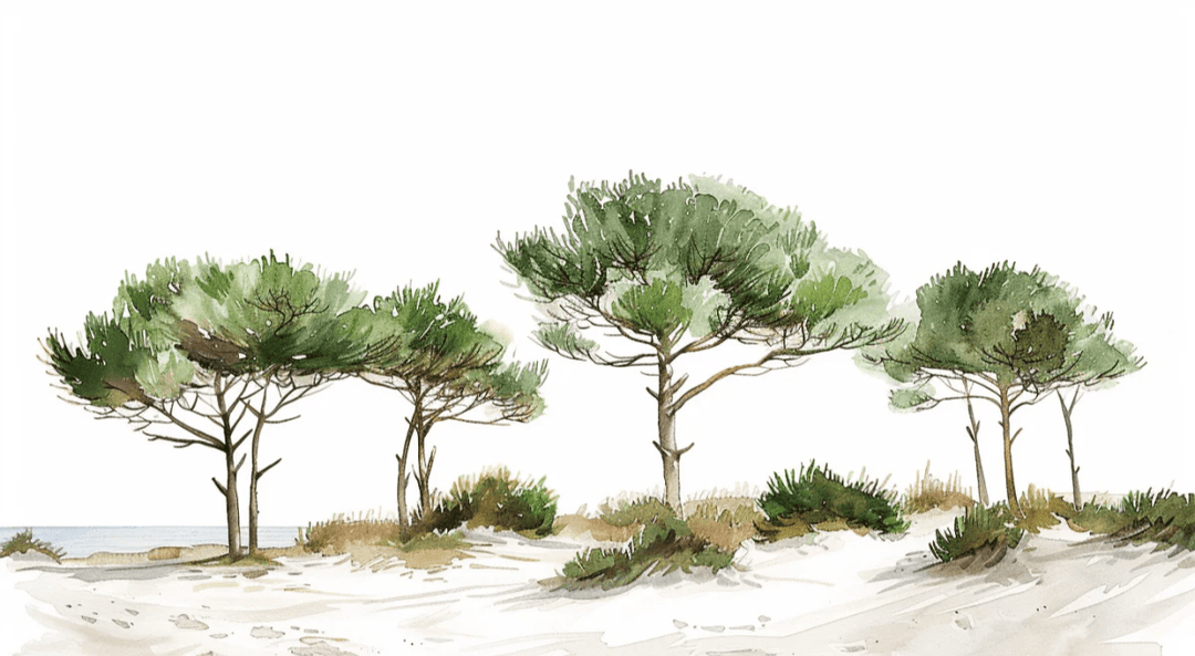 Les Pins de la Plage : Évasion Naturelle - Illulart: Papier peint panoramique