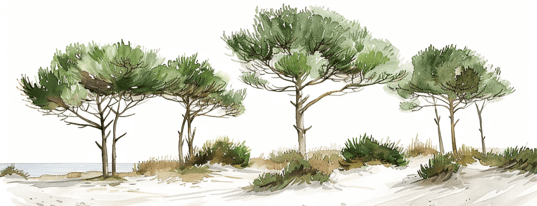 Les Pins de la Plage : Évasion Naturelle - Illulart: Papier peint panoramique